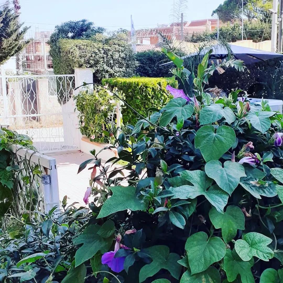 Sottovento Marzamemi Rooms&Relax Exterior photo